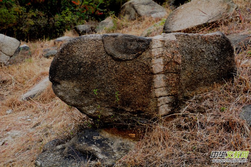 ��������ɽ�zӰ���桪�������zӰ��Ʒ