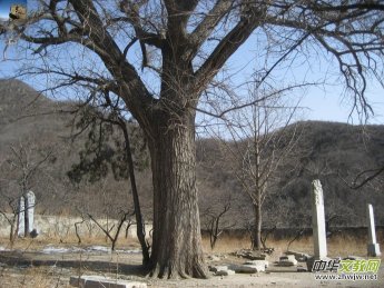 ��ɽ����ɽ���^(q��)��(n��i)ʮ����