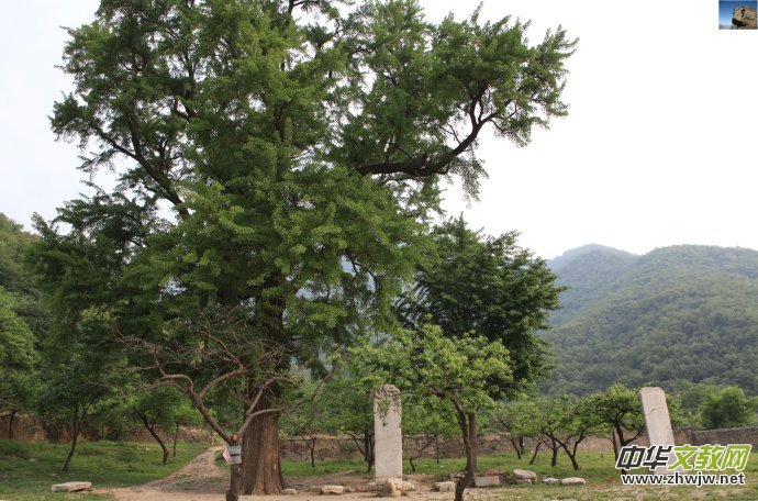 ��ɽ����ɽ���^(q��)��(n��i)ʮ����