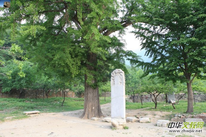 ��ɽ����ɽ���^(q��)��(n��i)ʮ����