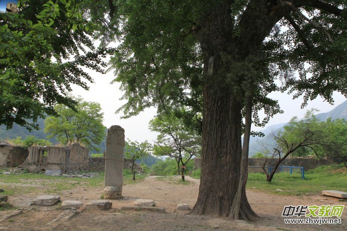 ��ɽ����ɽ���^(q��)��(n��i)ʮ����