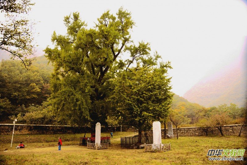 ӛ�ߔzӰ�����M(j��n)��ɽ����ɽ�L(f��ng)���^(q��)��L(f��ng)