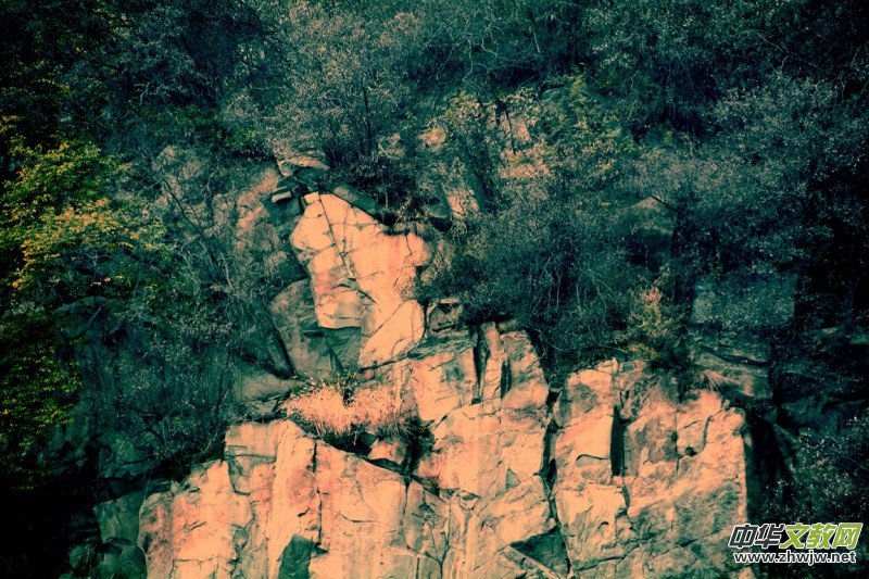 ӛ�ߔzӰ�����M(j��n)��ɽ����ɽ�L(f��ng)���^(q��)��L(f��ng)