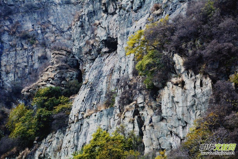 ӛ�ߔzӰ�����M(j��n)��ɽ����ɽ�L(f��ng)���^(q��)��L(f��ng)