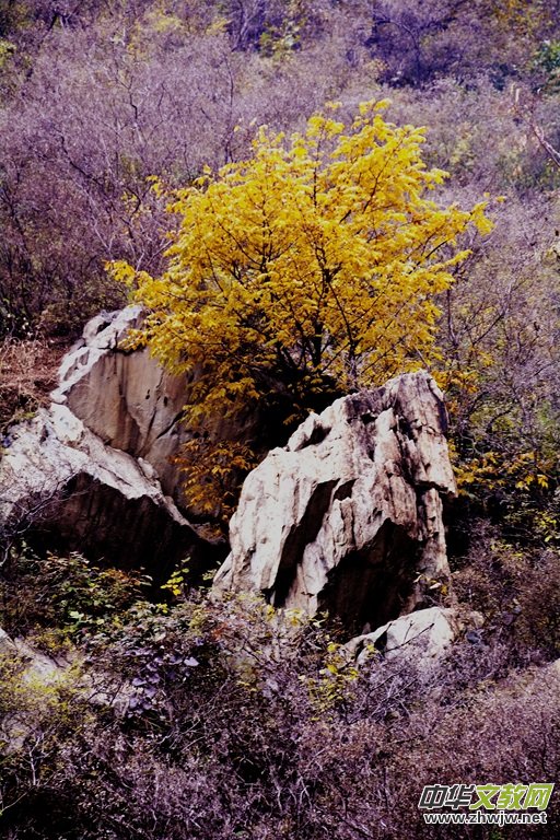 ӛ�ߔzӰ�����M(j��n)��ɽ����ɽ�L(f��ng)���^(q��)��L(f��ng)