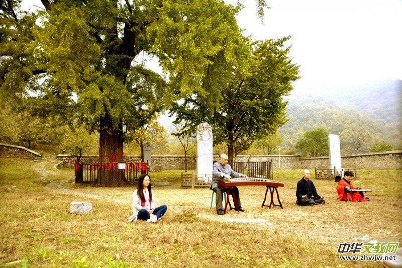 ӛ�ߔzӰ�����M(j��n)��ɽ����ɽ�L(f��ng)���^(q��)��L(f��ng)