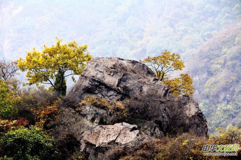 ӛ�ߔzӰ�����M(j��n)��ɽ����ɽ�L(f��ng)���^(q��)��L(f��ng)