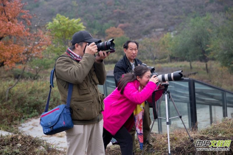 ӛ�ߔzӰ�����M(j��n)��ɽ����ɽ�L(f��ng)���^(q��)��L(f��ng)