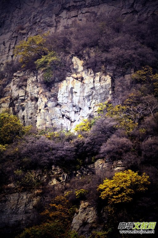 ӛ�ߔzӰ�����M(j��n)��ɽ����ɽ�L(f��ng)���^(q��)��L(f��ng)