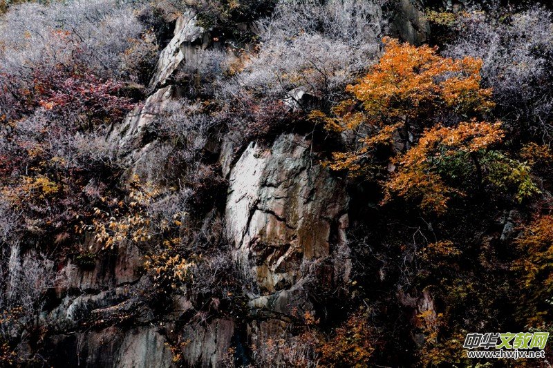 ӛ�ߔzӰ�����M(j��n)��ɽ����ɽ�L(f��ng)���^(q��)��L(f��ng)