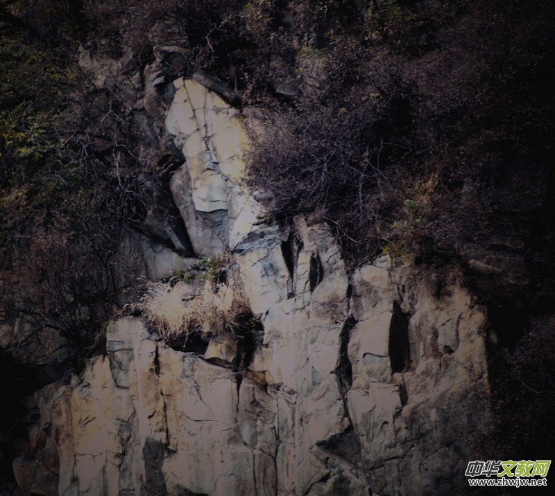 ӛ�ߔzӰ�����M(j��n)��ɽ����ɽ�L(f��ng)���^(q��)��L(f��ng)