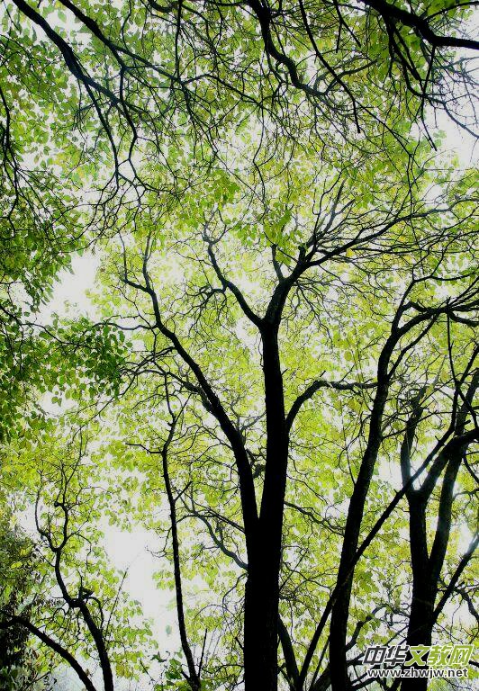 ӛ�ߔzӰ�����M(j��n)��ɽ����ɽ�L(f��ng)���^(q��)��L(f��ng)