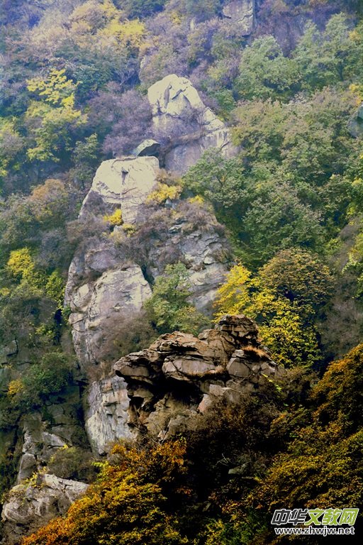 ӛ�ߔzӰ�����M(j��n)��ɽ����ɽ�L(f��ng)���^(q��)��L(f��ng)