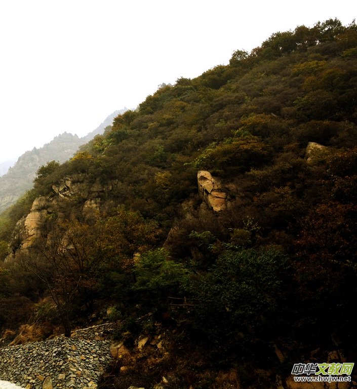 ӛ�ߔzӰ�����M(j��n)��ɽ����ɽ�L(f��ng)���^(q��)��L(f��ng)