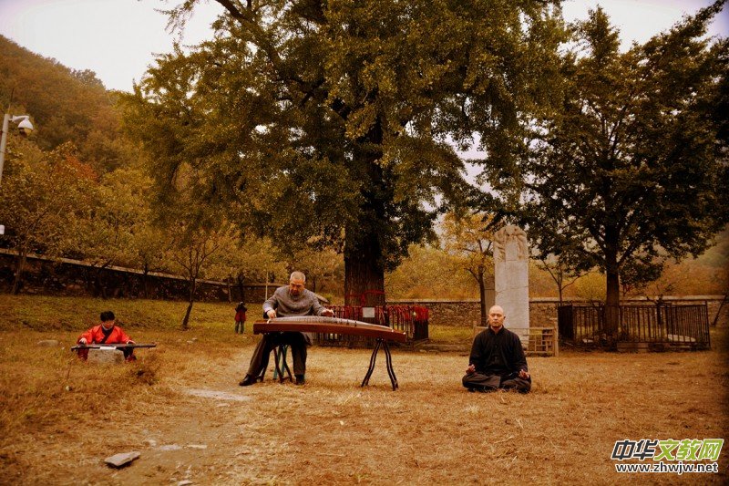 ӛ�ߔzӰ�����M(j��n)��ɽ����ɽ�L(f��ng)���^(q��)��L(f��ng)