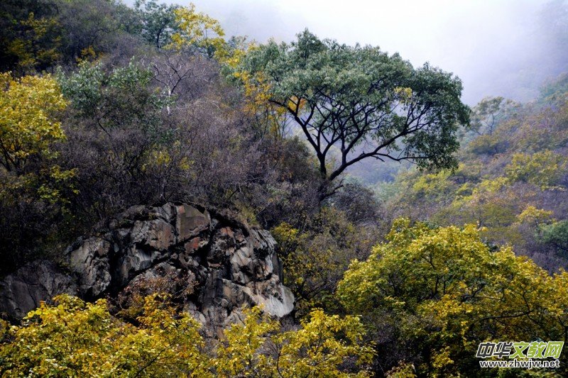 ӛ�ߔzӰ�����M(j��n)��ɽ����ɽ�L(f��ng)���^(q��)��L(f��ng)