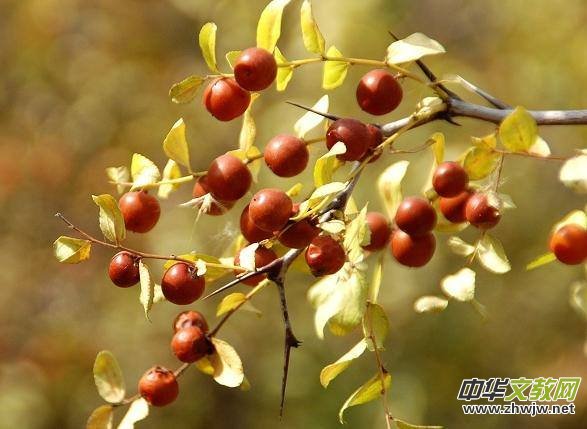 ���K�ѵ��ČW(xu��)��(m��ng)�f��