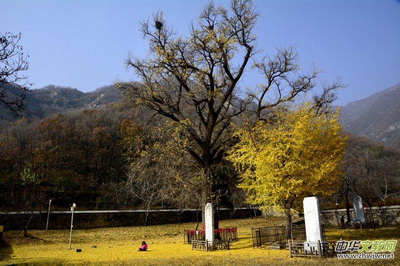 ����ɽ��ʯ�����Ȫ�澰