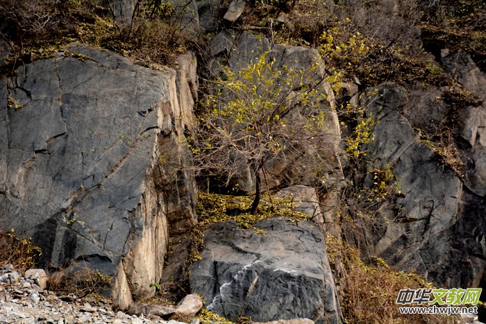 ����ɽ��ʯ�����Ȫ�澰