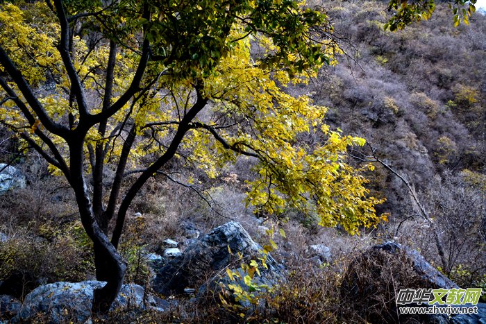 ����ɽ��ʯ�����Ȫ�澰