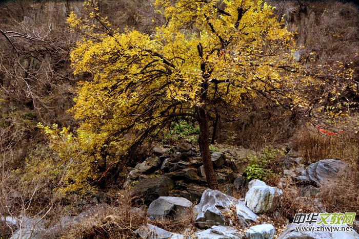 ����ɽ��ʯ�����Ȫ�澰