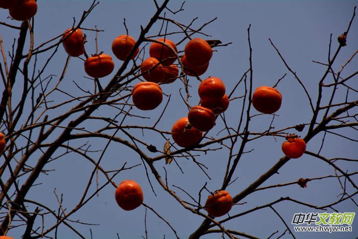 ����ɽ��ʯ�����Ȫ�澰