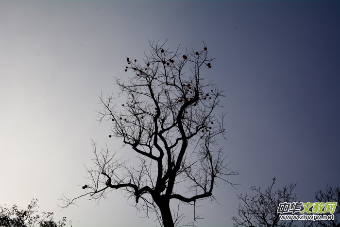 ����ɽ��ʯ�����Ȫ�澰