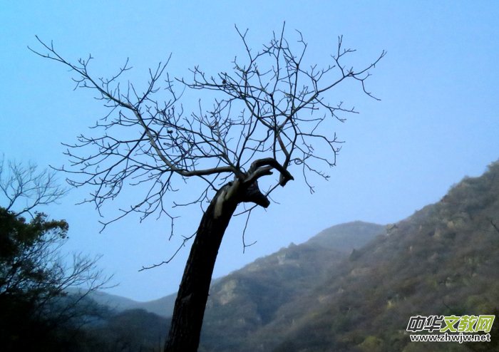 ����ɽ��ʯ�����Ȫ�澰