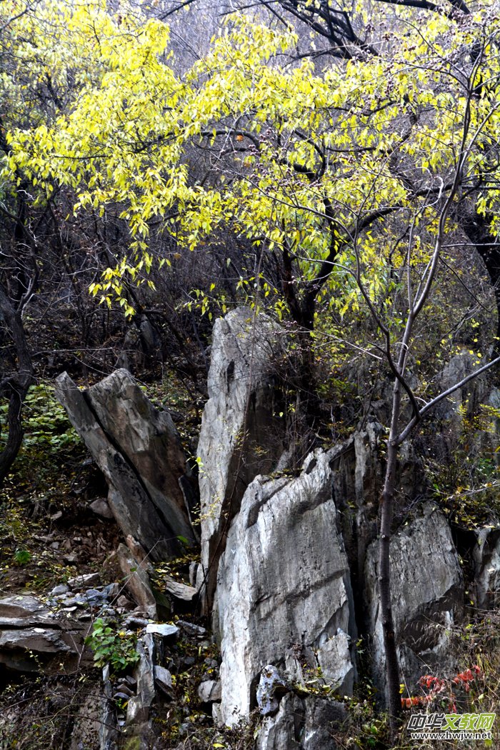 ����ɽ��ʯ�����Ȫ�澰