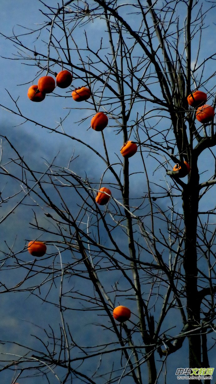 ����ɽ��ʯ�����Ȫ�澰