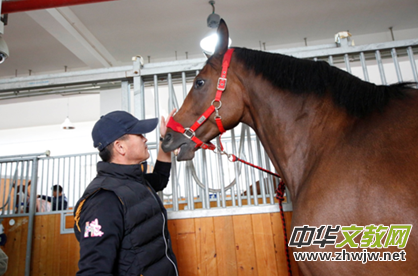 2017���ߌ��Ї�(gu��)�R�g(sh��)��(ji��)�����ڳɶ��ؽ��_Ļ