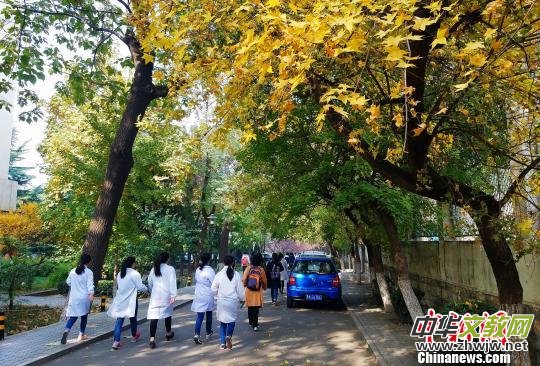 ɽ�|������WУ�L����(chu��ng)���Ԏ��Y�����B(y��ng)��(chu��ng)�����˲ŵ��P(gu��n)�I