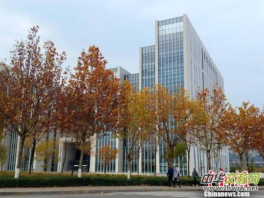 ɽ�|������WУ�L����(chu��ng)���Ԏ��Y�����B(y��ng)��(chu��ng)�����˲ŵ��P(gu��n)�I