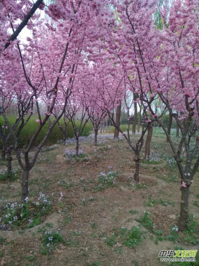 Ԋ�ĵ�ī� �ž�����A����2017������ᭇ���Ŀ��R