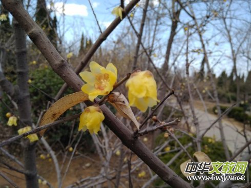 Ԋ�ĵ�ī� �ž�����A����2017������ᭇ���Ŀ��R