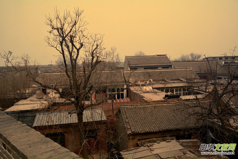 �V���ųǡ���������Ц�����zӰ