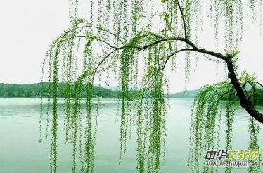 ���������(sh��)