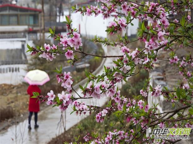 ���Ӱҕ����һ�_Ļʽ