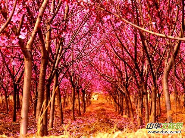 ���Ӱҕ����һ�_Ļʽ