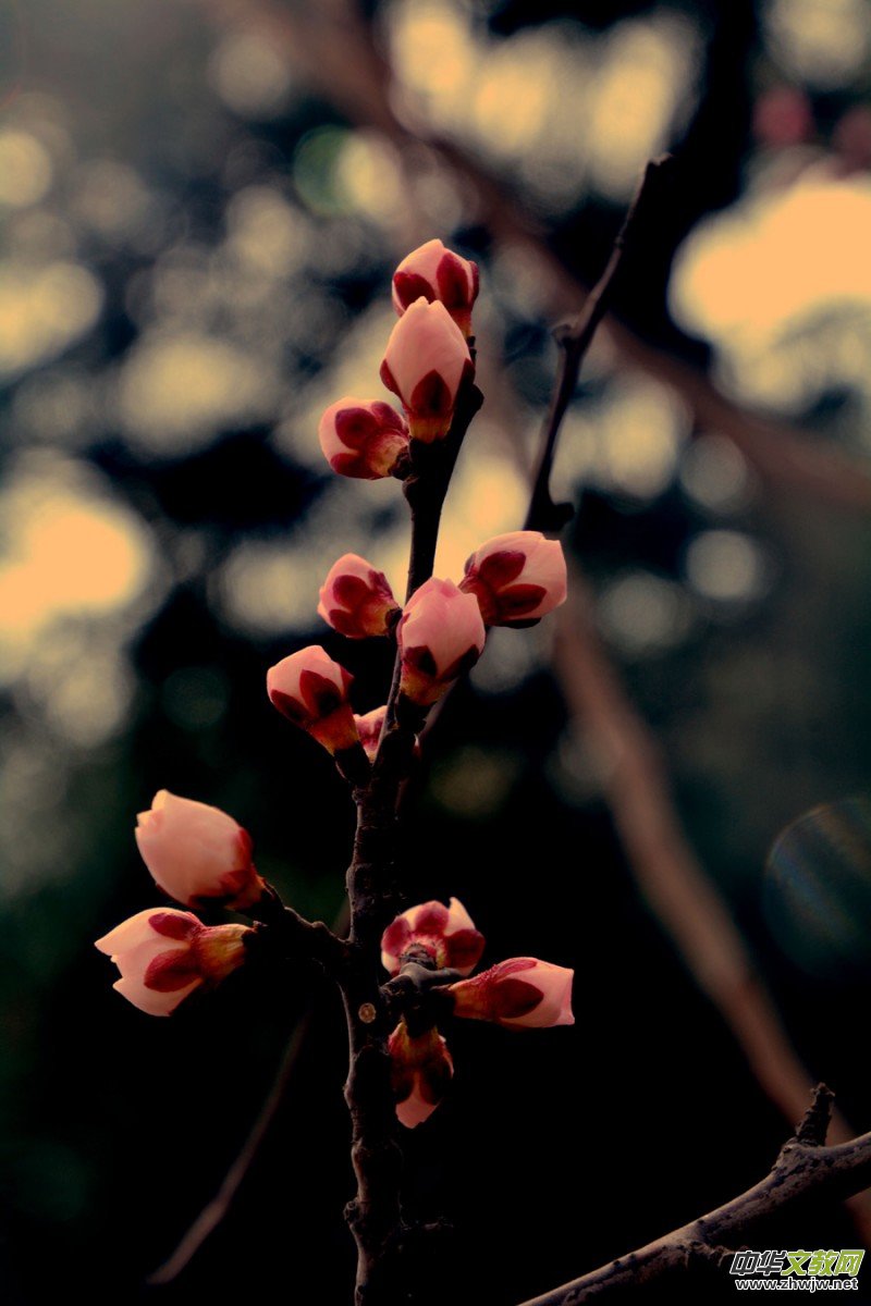 �����_�ˡ���Ԋ���zӰ