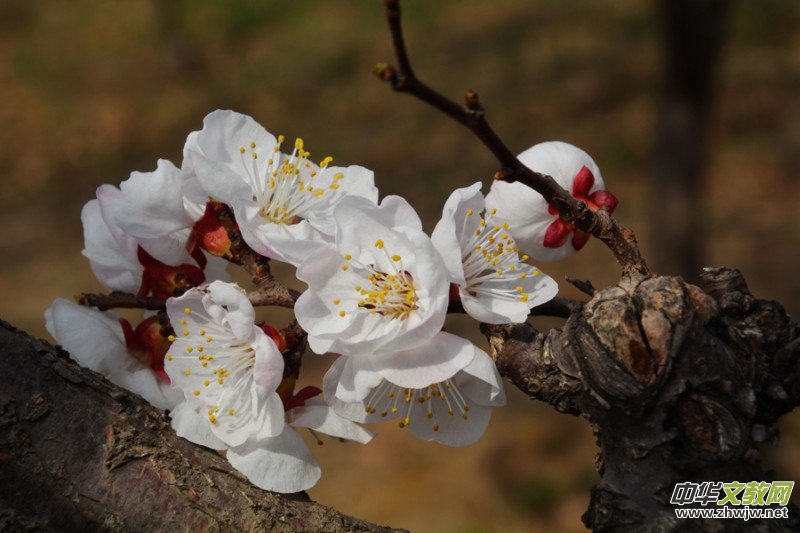 �����_�ˡ���Ԋ���zӰ