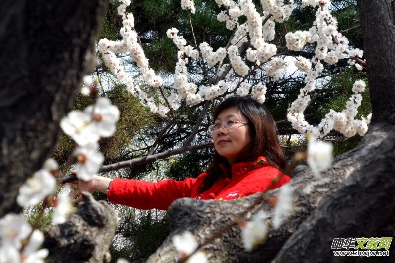 �����_�ˡ���Ԋ���zӰ