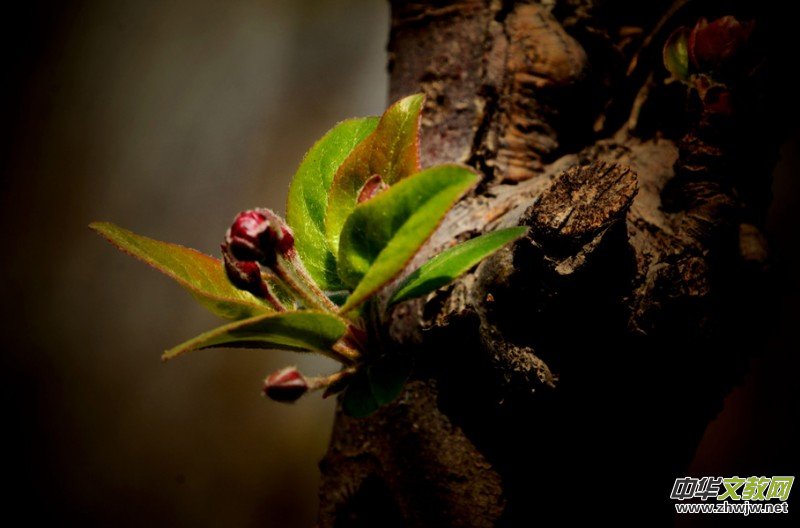 �����_�ˡ���Ԋ���zӰ