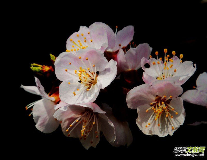 �����_�ˡ���Ԋ���zӰ