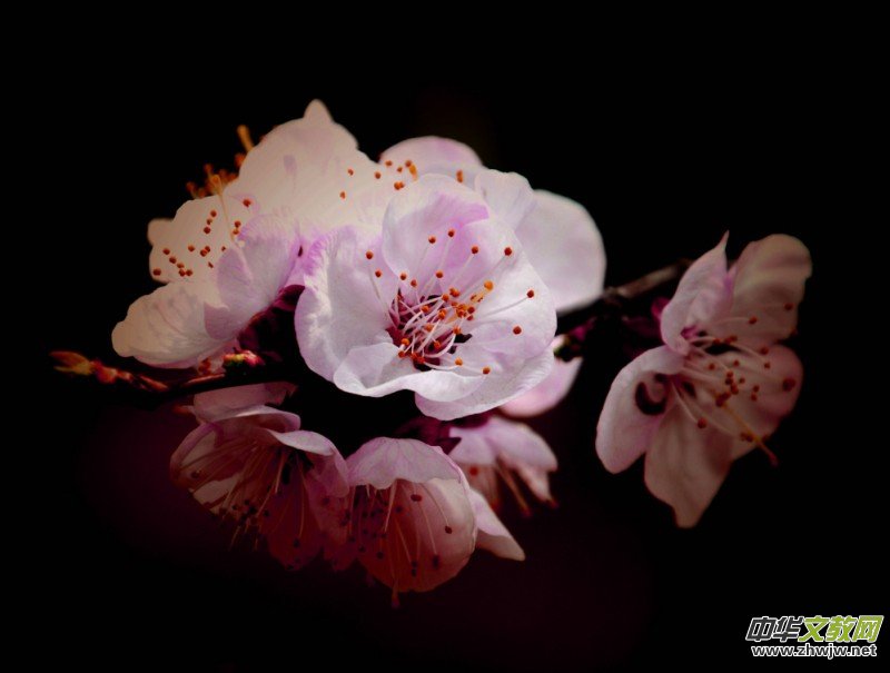 �����_�ˡ���Ԋ���zӰ