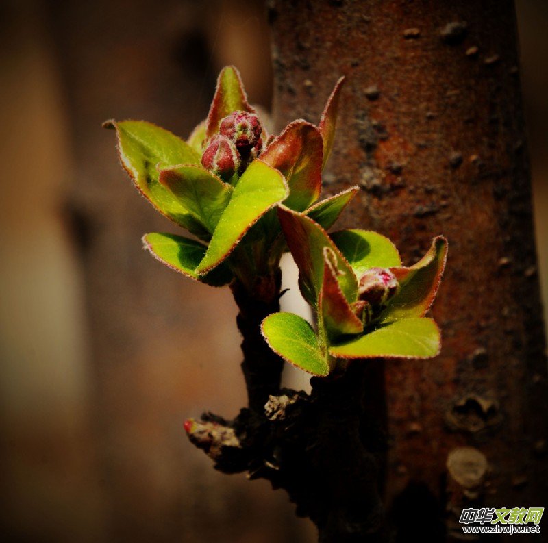 �����_�ˡ���Ԋ���zӰ