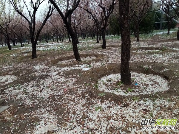 �����r����ѩ�ӣ����Ĺ��@������