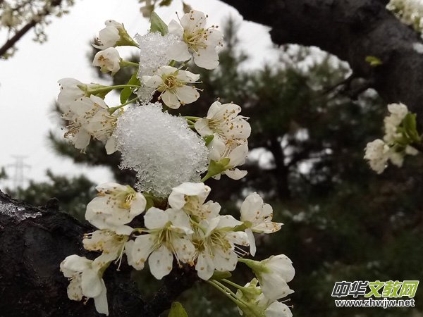 �����r����ѩ�ӣ����Ĺ��@������