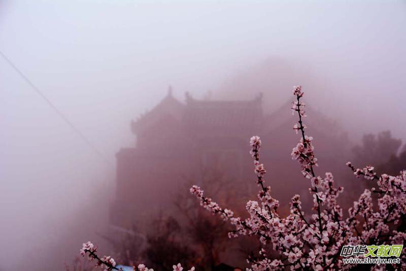 ���F�е�Ԋ�����_ɽ����Ц���zӰ��Ԋ