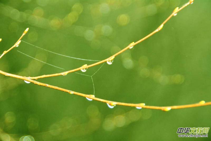 ���F�е�Ԋ�����_ɽ����Ц���zӰ��Ԋ